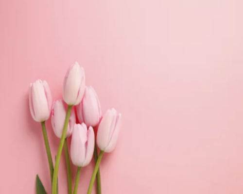 SnapCrab_NoName_2021-6-23_9-10-29_No-00