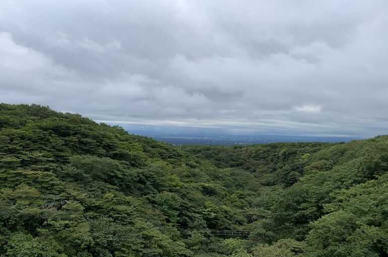 那須　もみじ大橋